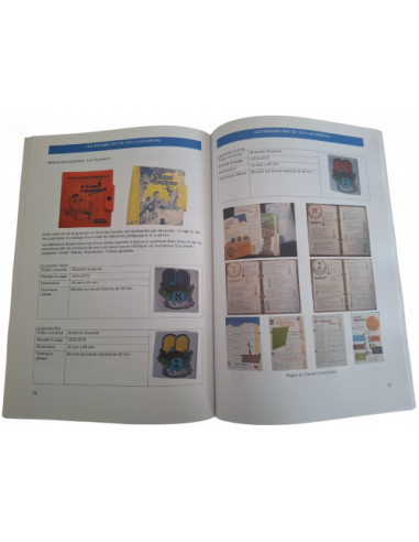 Le livre des insignes