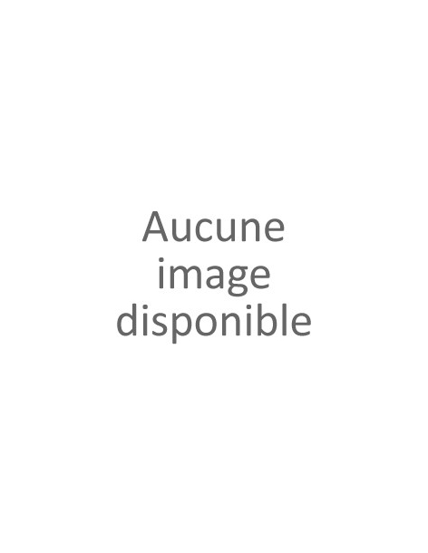 Insigne promesse Eclaireur